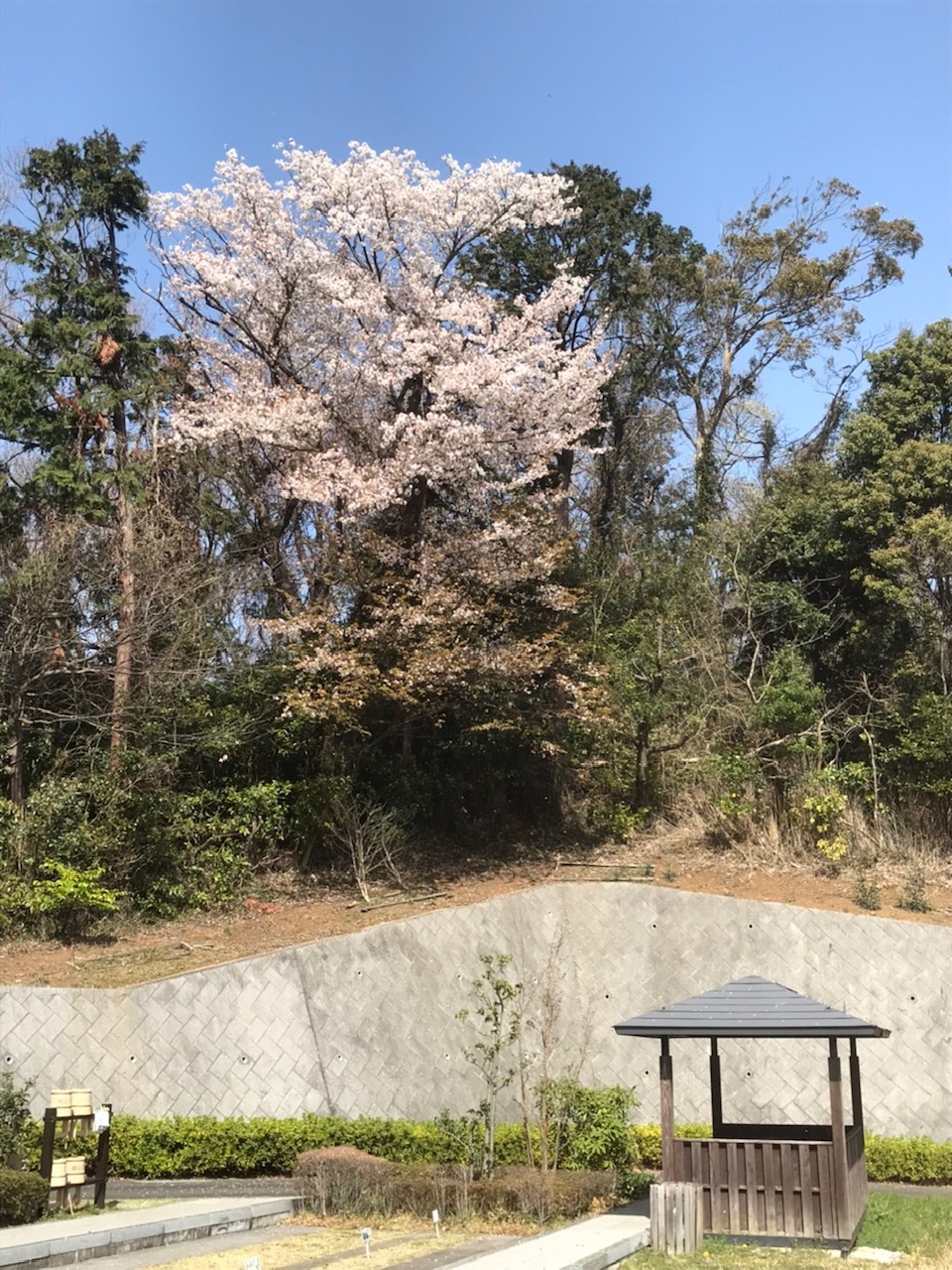 六浦霊園-三寒四温