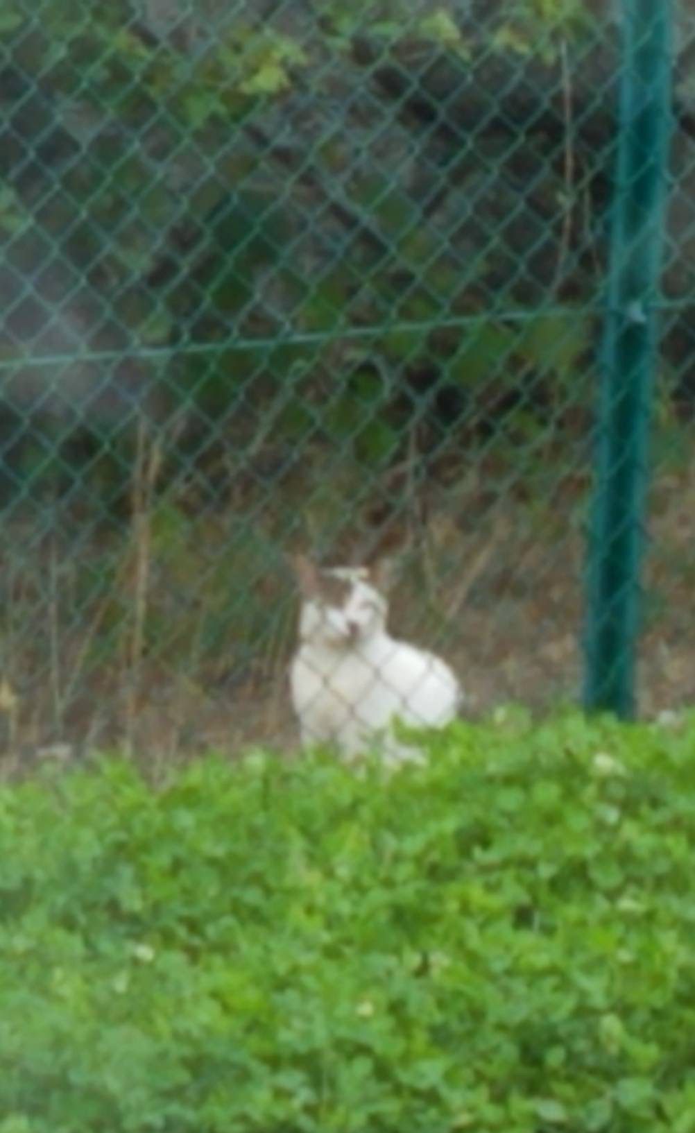 六浦霊園_笑っているように見えませんか？