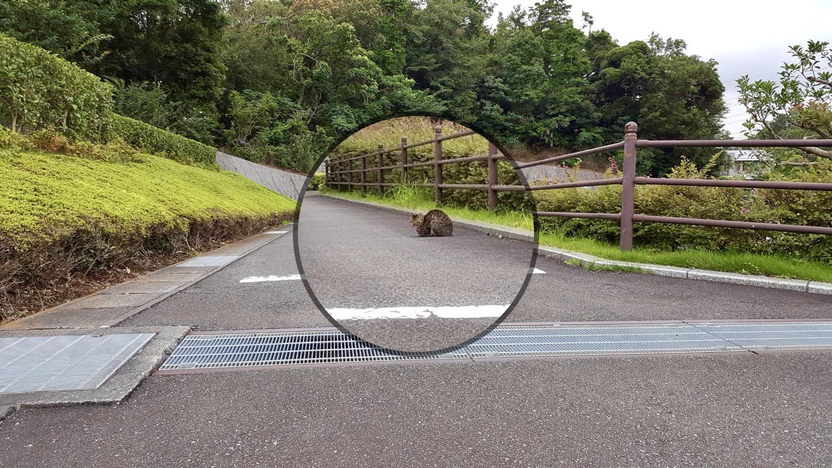 六浦霊園_新顔登場